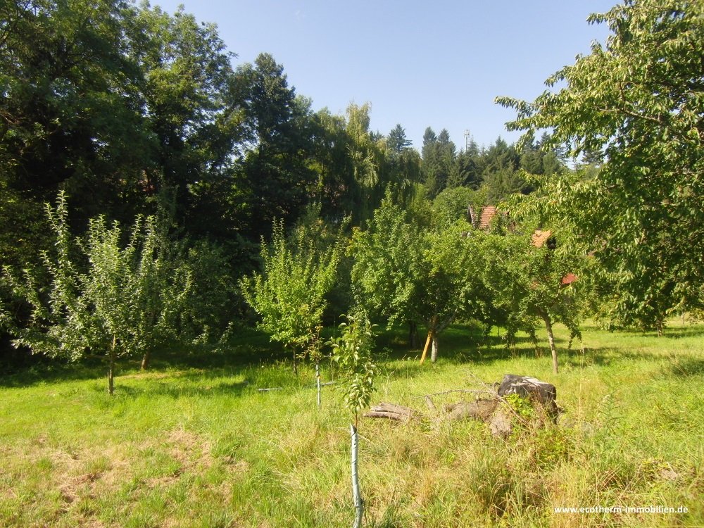 Ein- bis Zweifamilienhaus mit beeindruckend großem Grundstück in Bühl-Neusatz